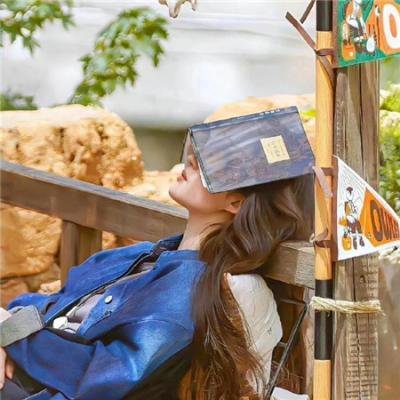 天才三宝：高冷爹地是霸总